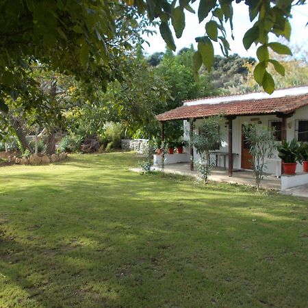 Villa Mina Potistika Esterno foto