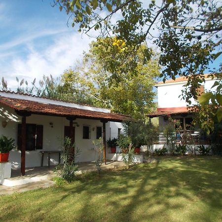 Villa Mina Potistika Esterno foto