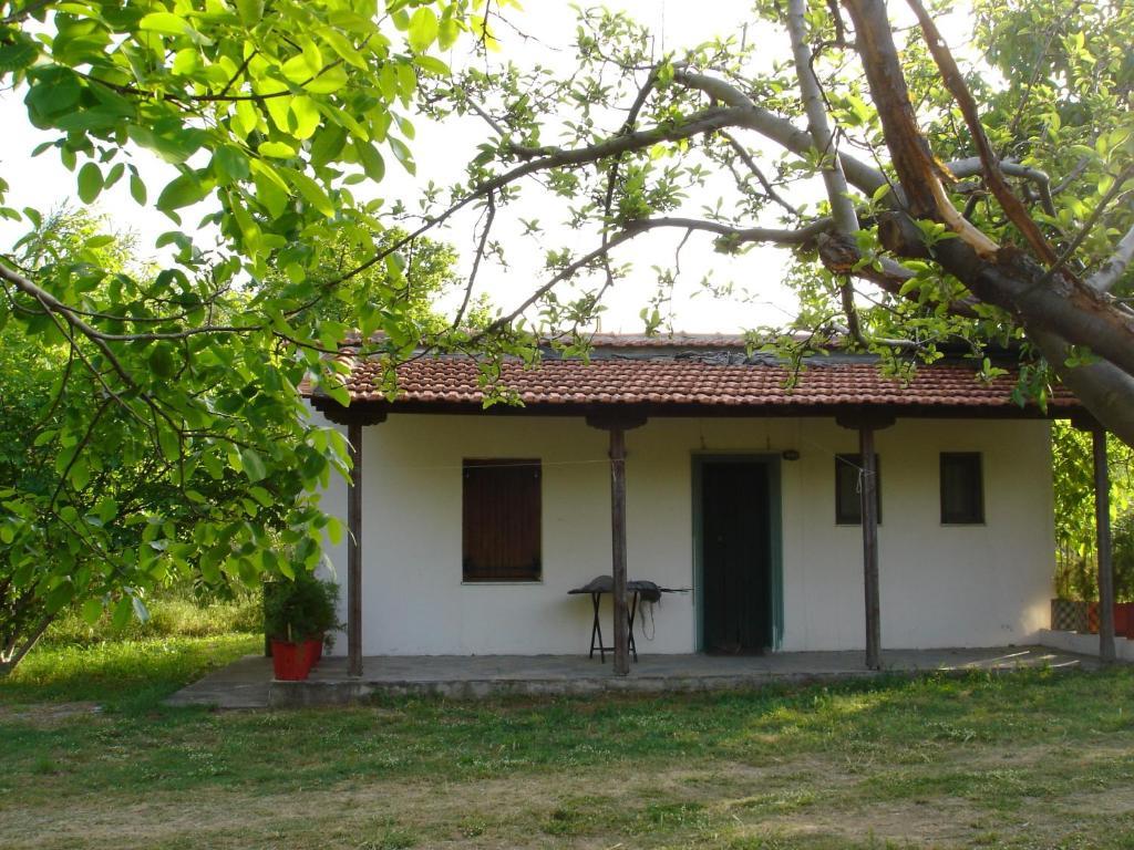 Villa Mina Potistika Esterno foto